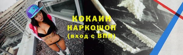гидра Липки