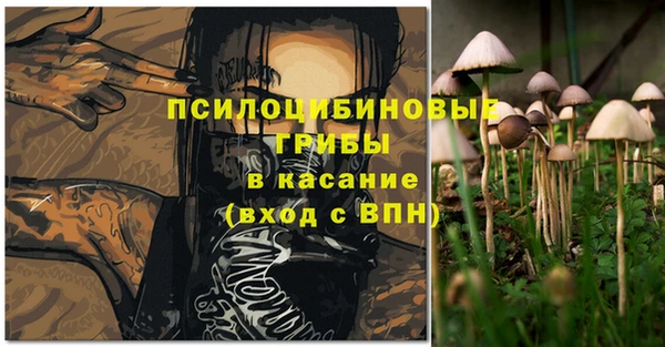 прущие грибы Лихославль