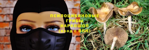 мескалин Лабытнанги