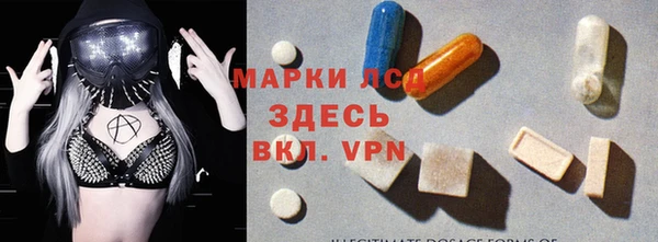 гидра Липки