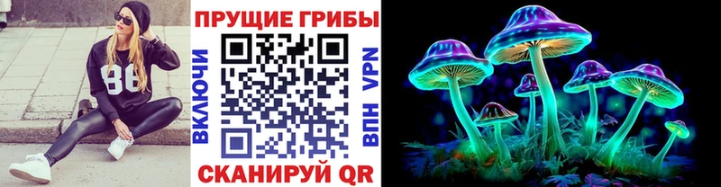 Галлюциногенные грибы ЛСД Саранск